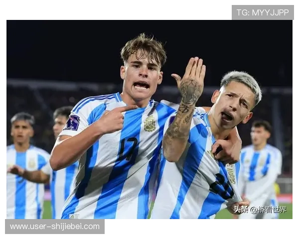 本届世界杯年龄最大的球员在比赛中的表现及其经验价值