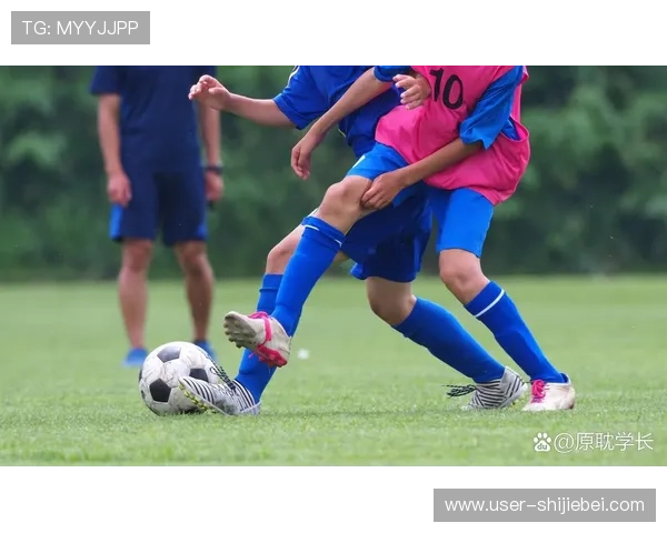 足球小子世界杯:全球少年足球少年用青春点燃世界杯的激情与梦想 足球小子世界杯:全球少年足球少年用青春点燃世界杯的激情与梦想